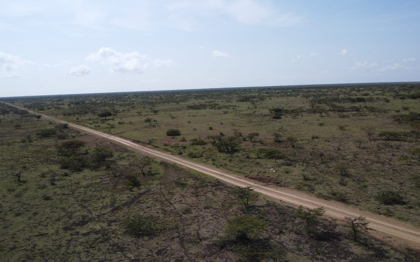 Aerial of a murram road cutting through acacia scrub